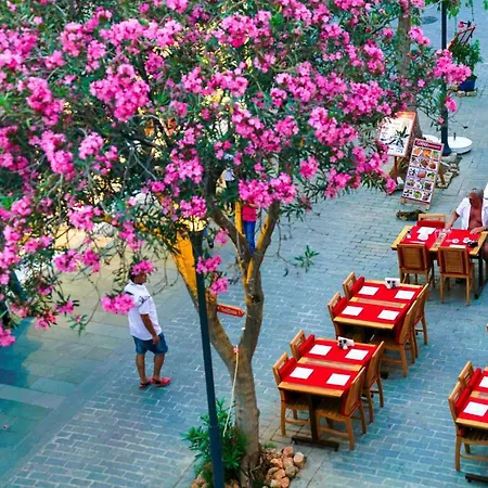 Center * Kaş